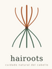Hairoots - Inicio